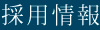 採用情報